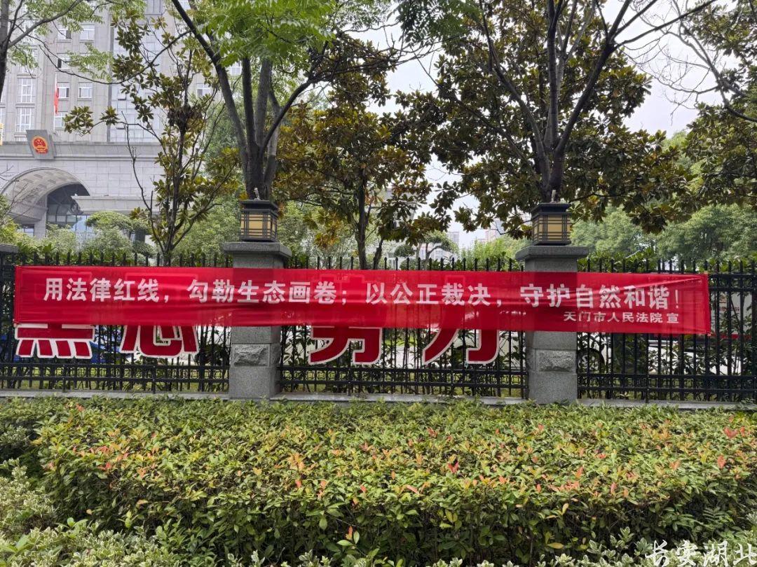 图片9.png