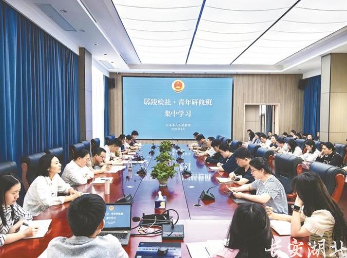 微信图片_202506251549051.png