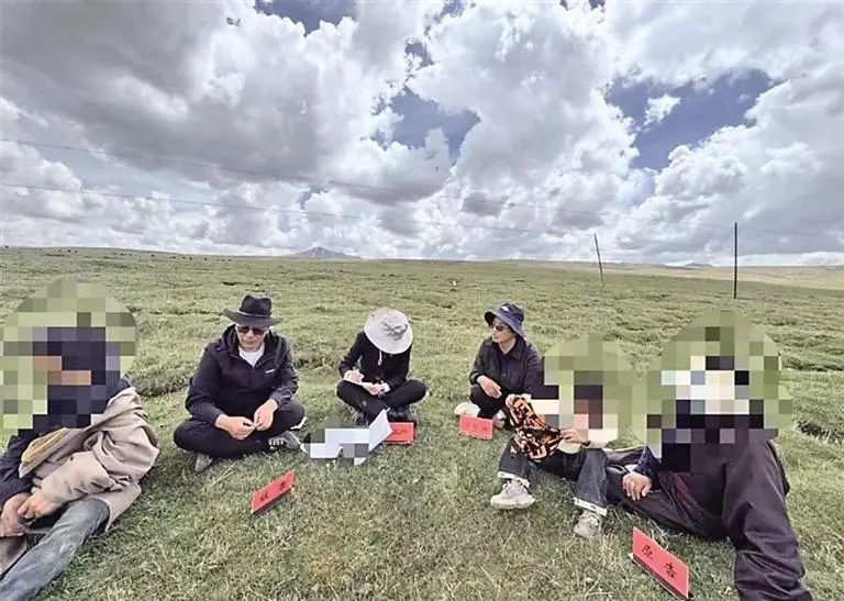图片 图片