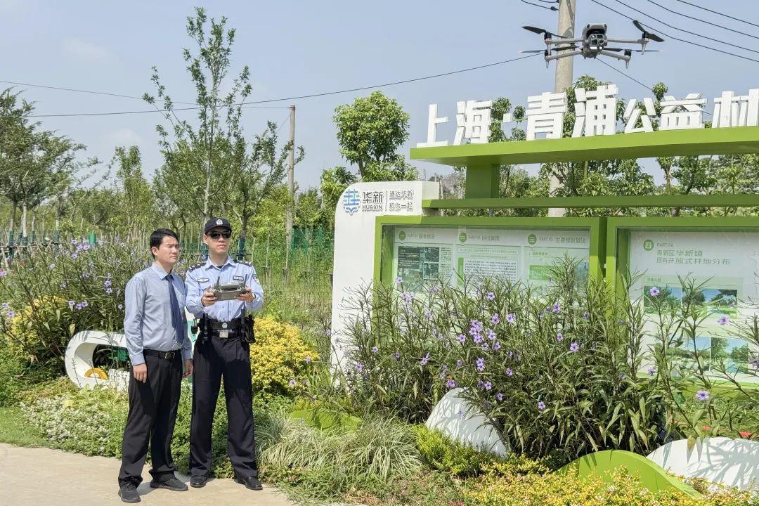 WDCM上传图片 WDCM上传图片