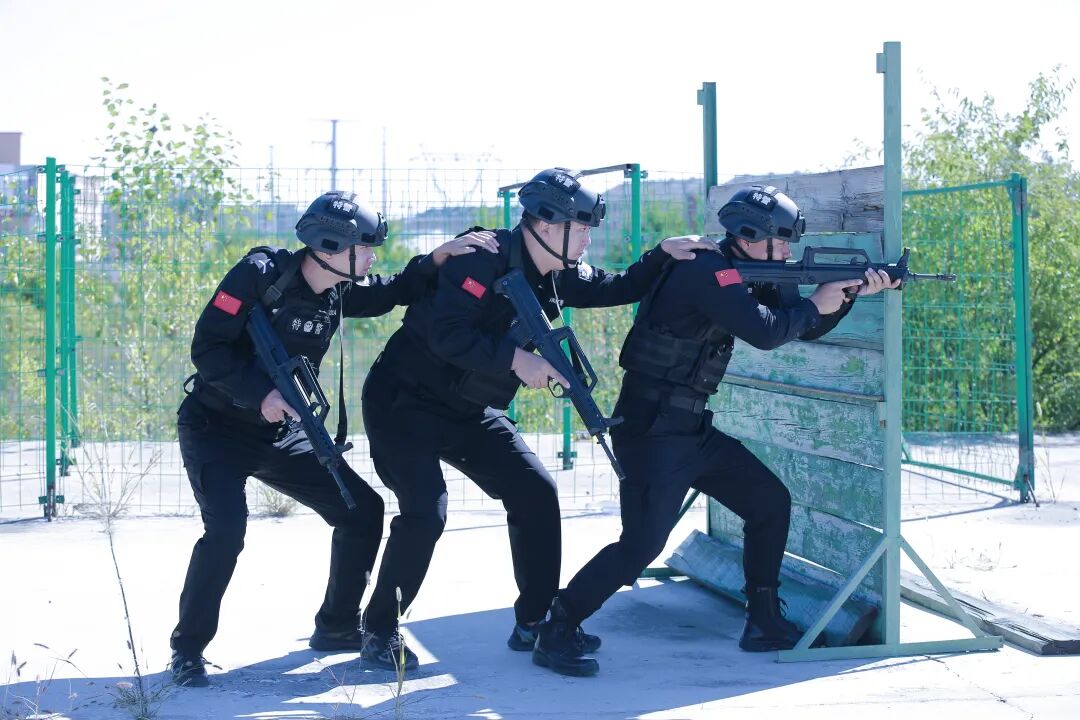 图片 图片