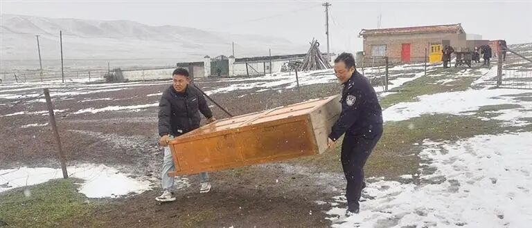 图片 图片