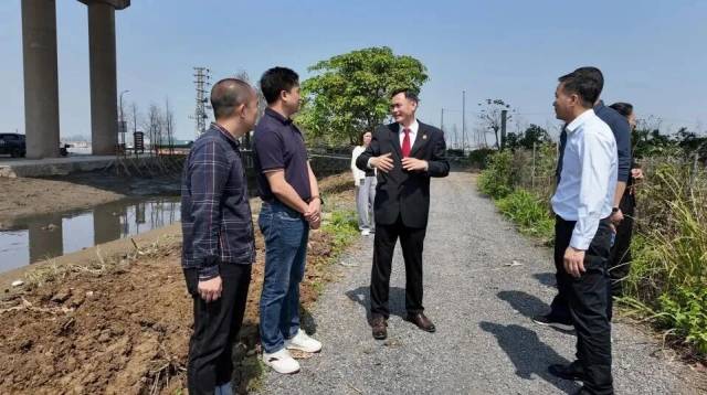 法官现场调查植树和清淤情况
