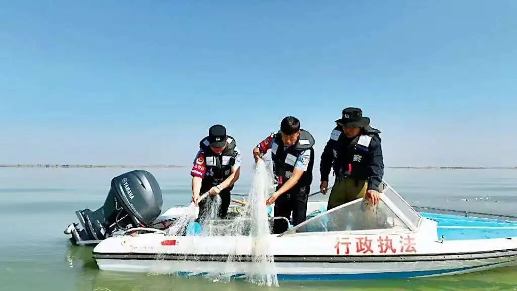 图片 图片